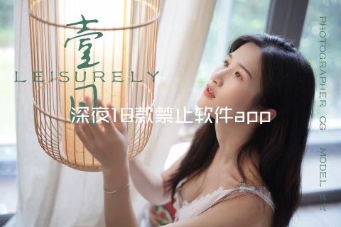 深夜18款禁止软件app